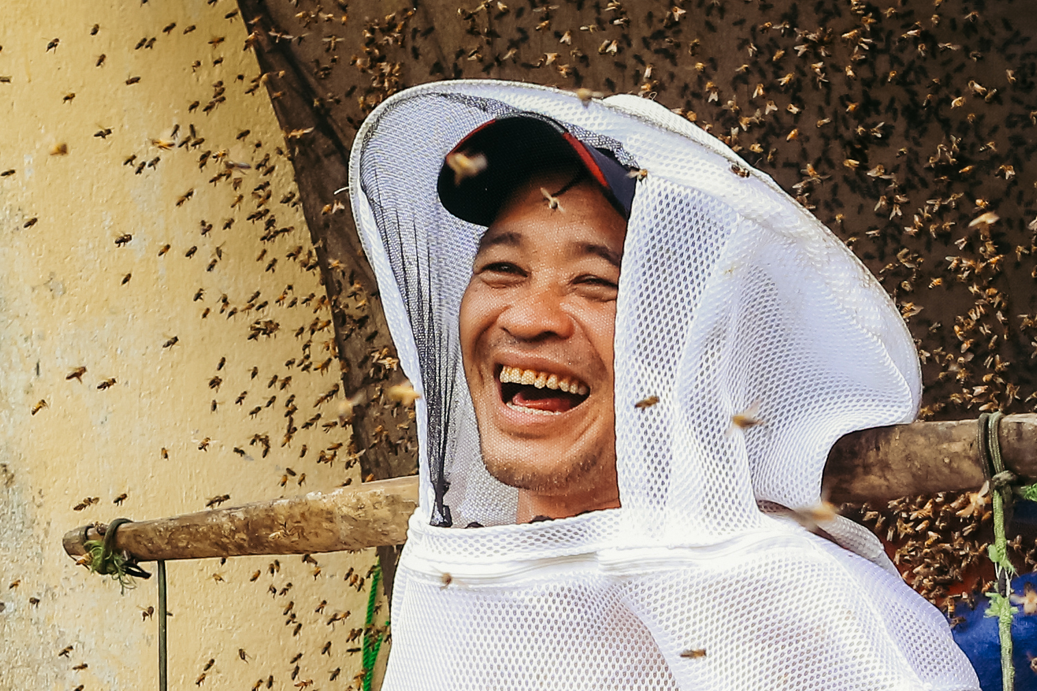 Niềm vui thợ nuôi ong